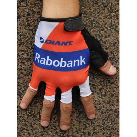 2014 Team Rabobank Gant Cyclisme