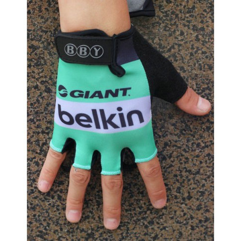 2014 Team Belkin Gant Cyclisme